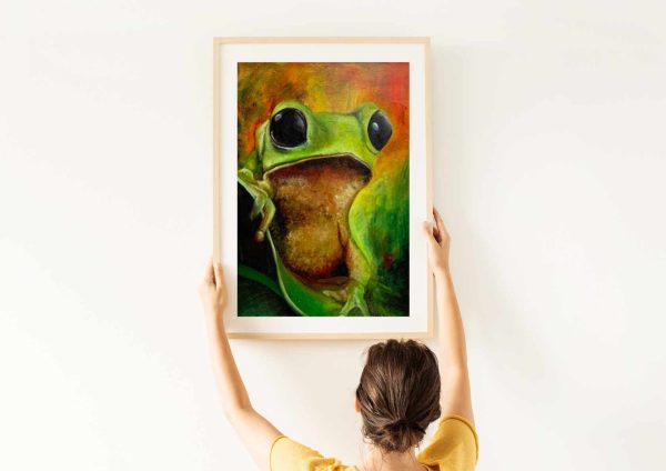 A frog called Francois - Image 4