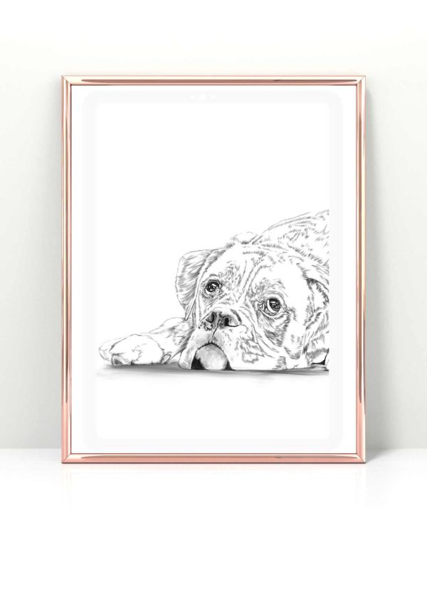 Quick Paw Portraits – Custom Pet Sketch - Image 12